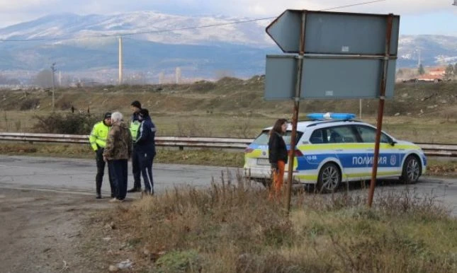 Поставиха под възбрана 12 коня без чипове в Разлог