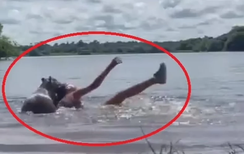 Шокиращо ВИДЕО 18+ показва как капибара напада момиче в езеро