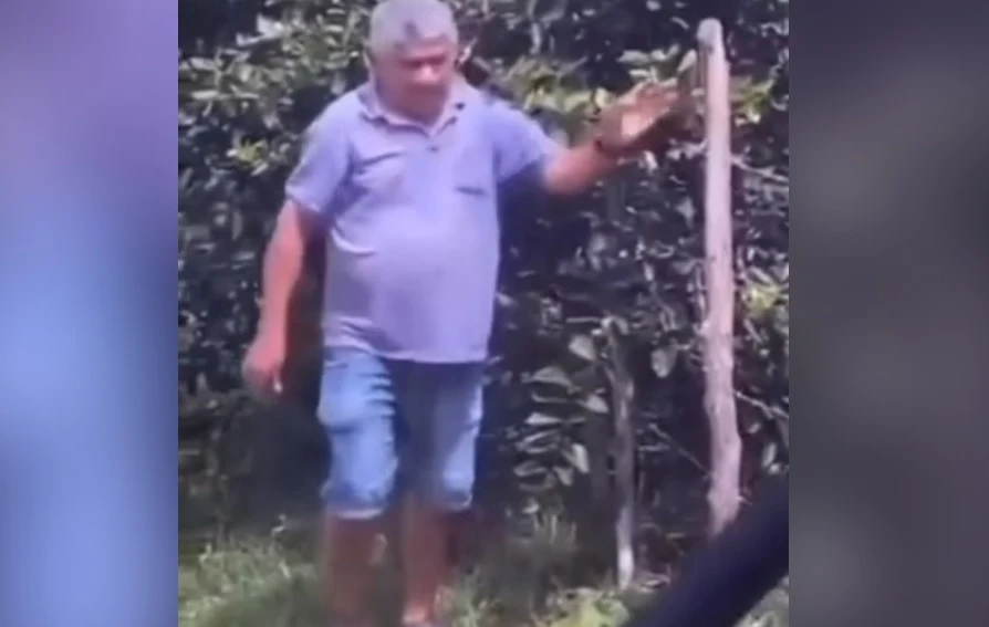 ВИДЕО запечата как политик бе смъртоносно нападнат от стотици пчели