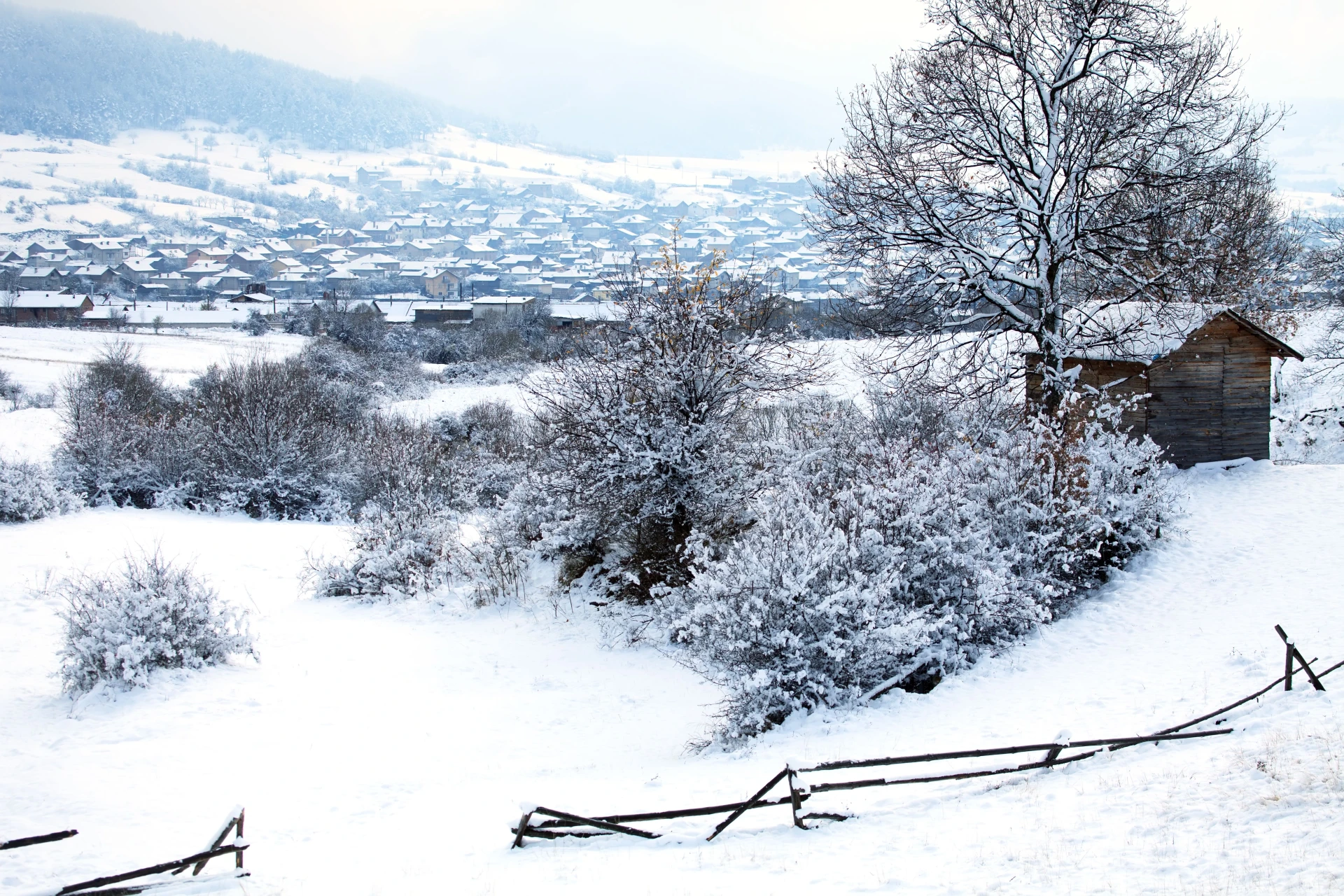 Не Коледа, а Годишовден: в този български край празниците са особени