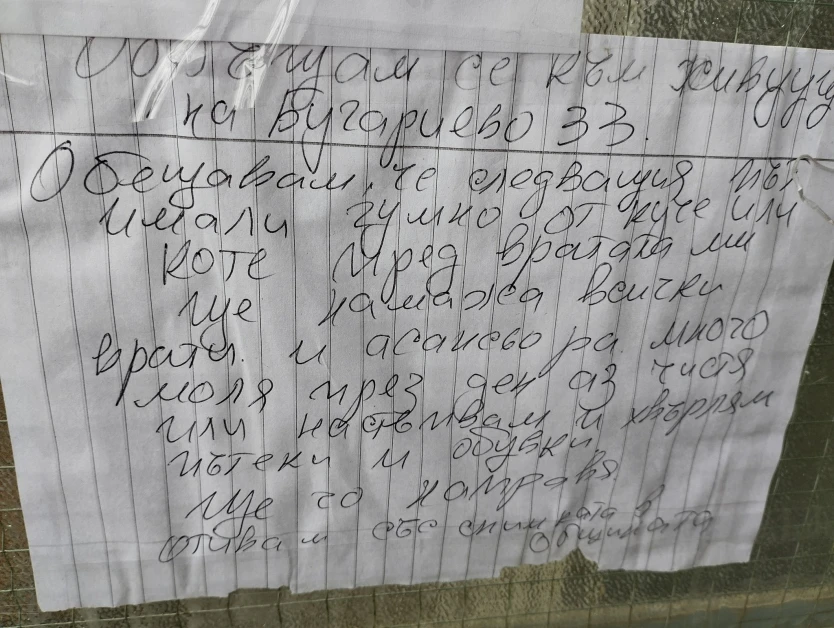 Страховито се заплашват в блоковете в Пловдив, чак косата ти да настръхне СНИМКИ