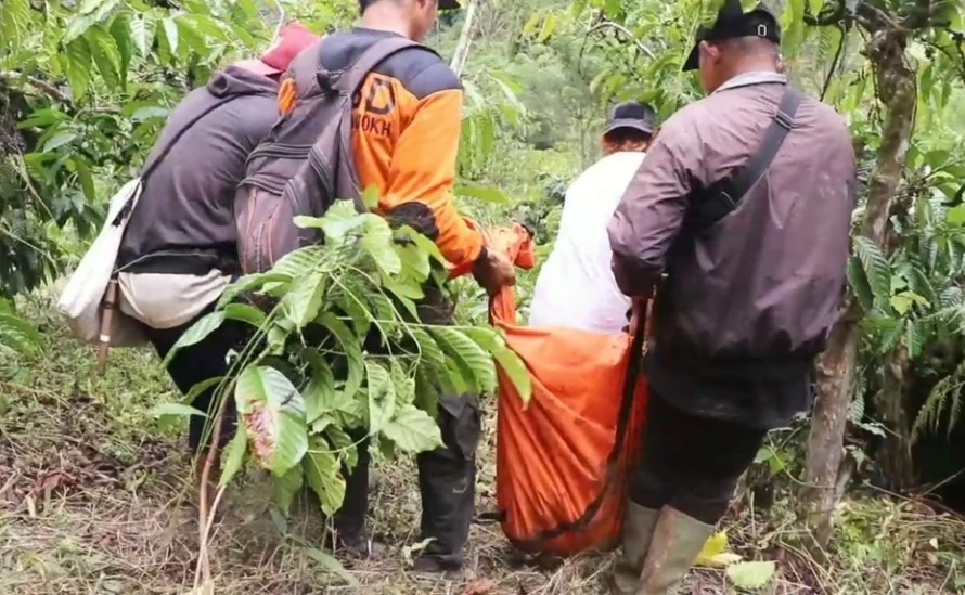 Тигър разкъса фермер, ето какво се е случило