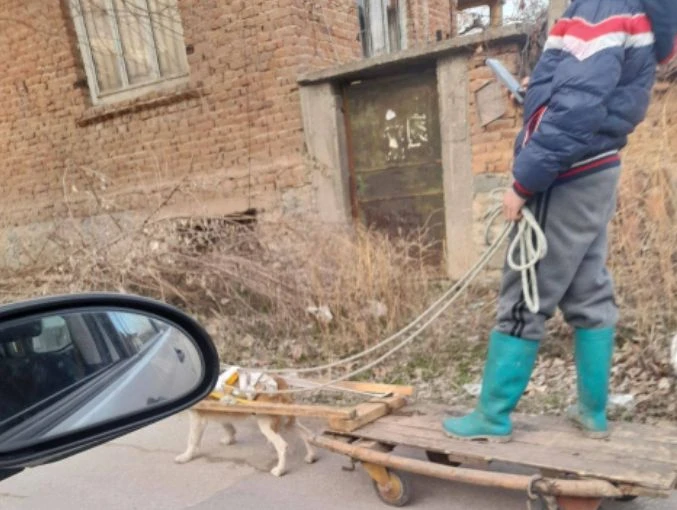Мрежата пламна заради жестока гавра на келеш в Пазарджишко СНИМКА 