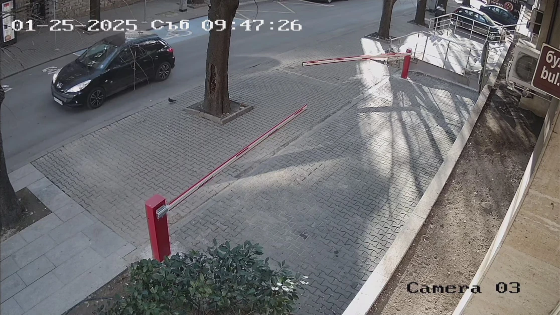 Областният управител на Стара Загора изригна: Мръсна, пияна и дрогирана измет! ВИДЕО