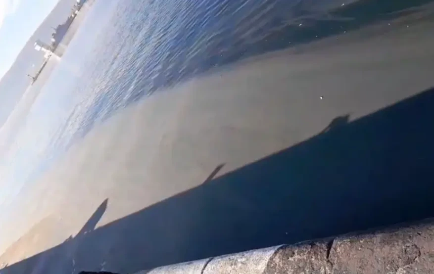 Шокираща гледка в морето край варненската Морска гара, какво се случва СНИМКА