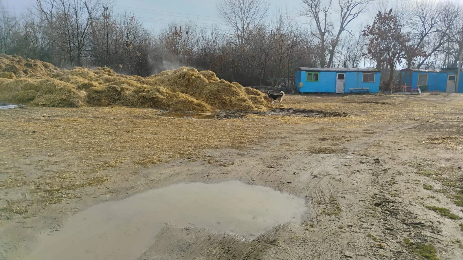 Бургазлии в потрес: Тонове ла*на заринаха този красив парк СНИМКИ