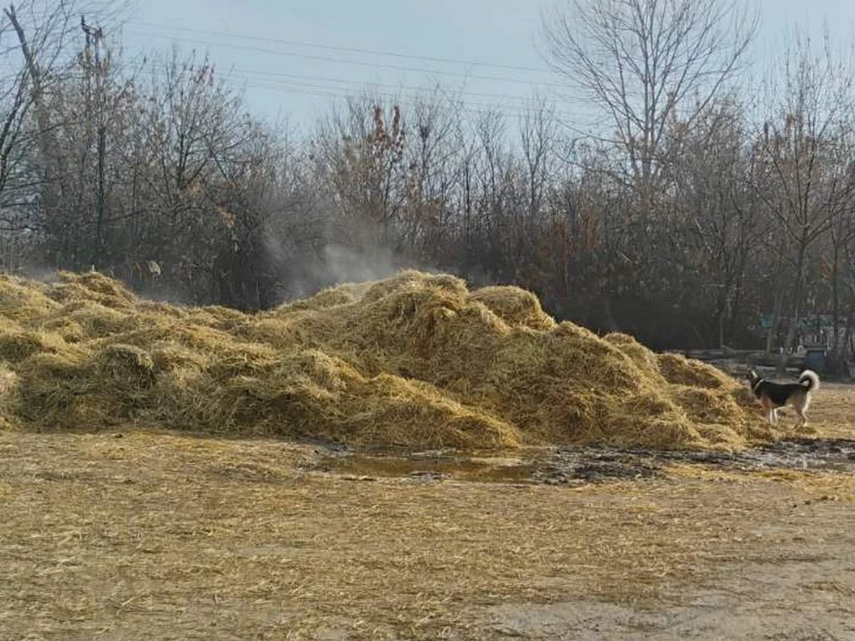 Бургазлии в потрес: Тонове ла*на заринаха този красив парк СНИМКИ