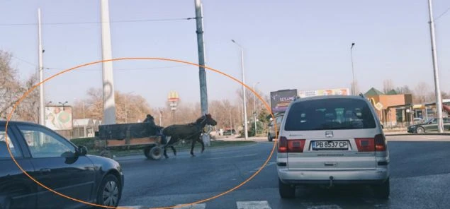 "Гладиатор" от Столипиново вбеси пловдивчани СНИМКИ