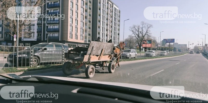"Гладиатор" от Столипиново вбеси пловдивчани СНИМКИ