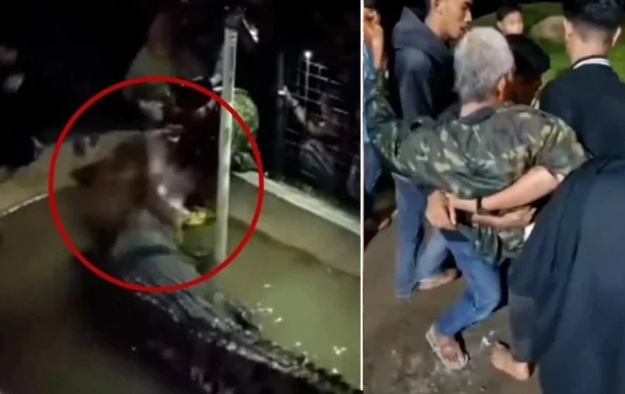 Крокодил нападна мъж, който решил да го нахрани ВИДЕО 18+