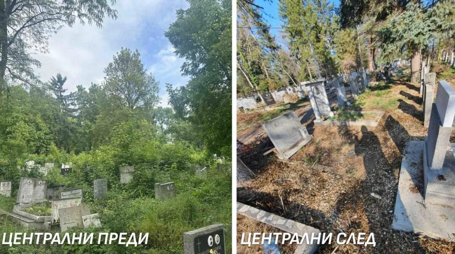 Софийските гробища са неузнаваеми, Терзиев го доказа със СНИМКИ