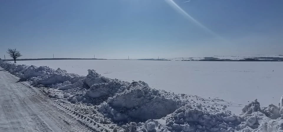 Насред студа! Красива поличба край морето – вижда ли му се краят? ВИДЕО