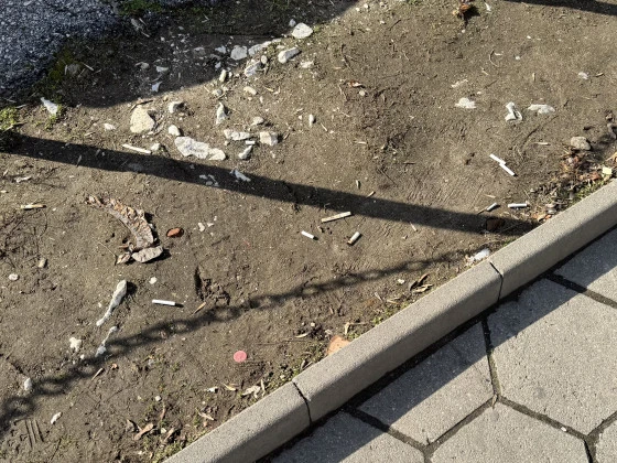 Наши ученици с уникална инициатива срещу пушачите СНИМКИ