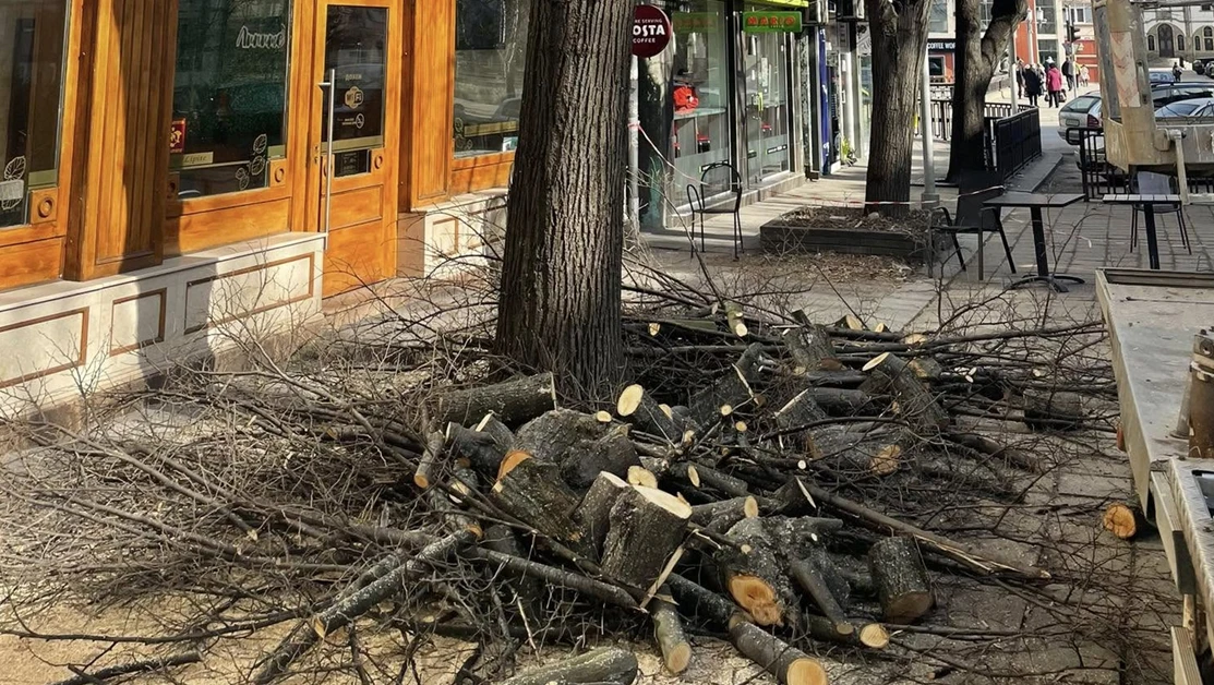 Габровци взривиха мрежата, обвиняват властите в корупция заради... СНИМКИ