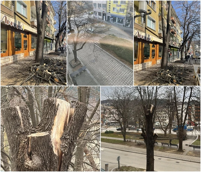 Габровци взривиха мрежата, обвиняват властите в корупция заради... СНИМКИ