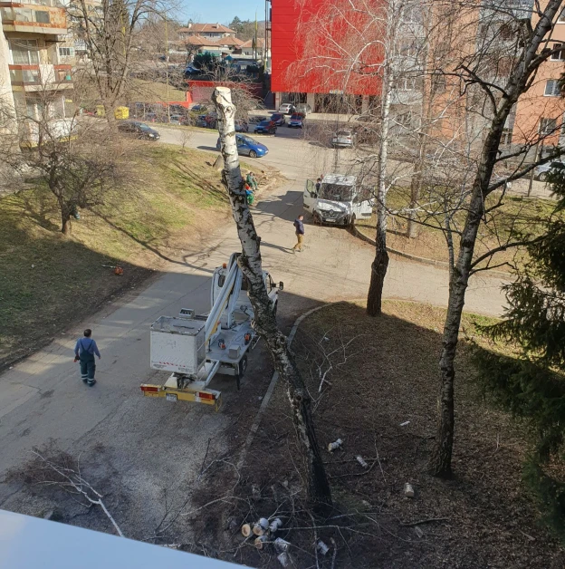 Габровци взривиха мрежата, обвиняват властите в корупция заради... СНИМКИ