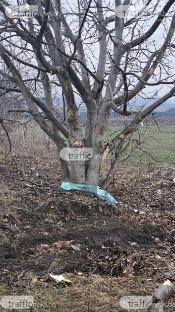 Фатална любов: Брутални СНИМКИ от лобното място на 18-г. Тошко