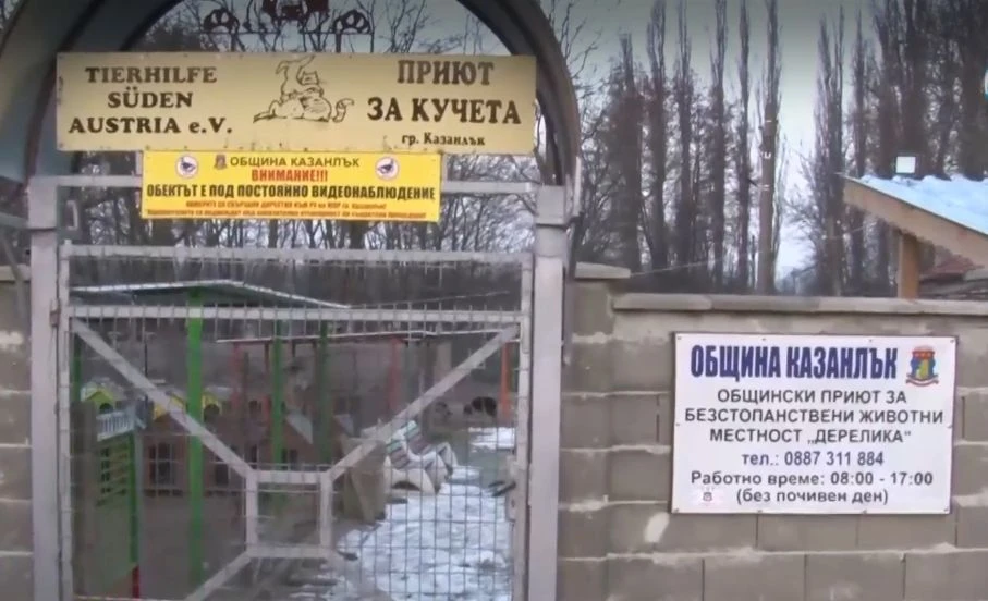 Нови разкрития за зверството срещу кандидат кмет на ГЕРБ, което смрази България! ВИДЕО