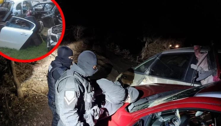 Внимание: Още 6 като Тошко Маймуната ни крадат колите!