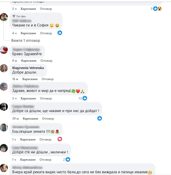 Небето над Бургас почерня от птици, а във Варна... СНИМКИ