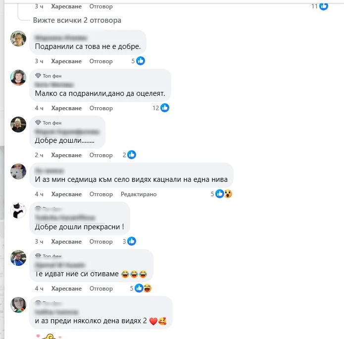 Небето над Бургас почерня от птици, а във Варна... СНИМКИ