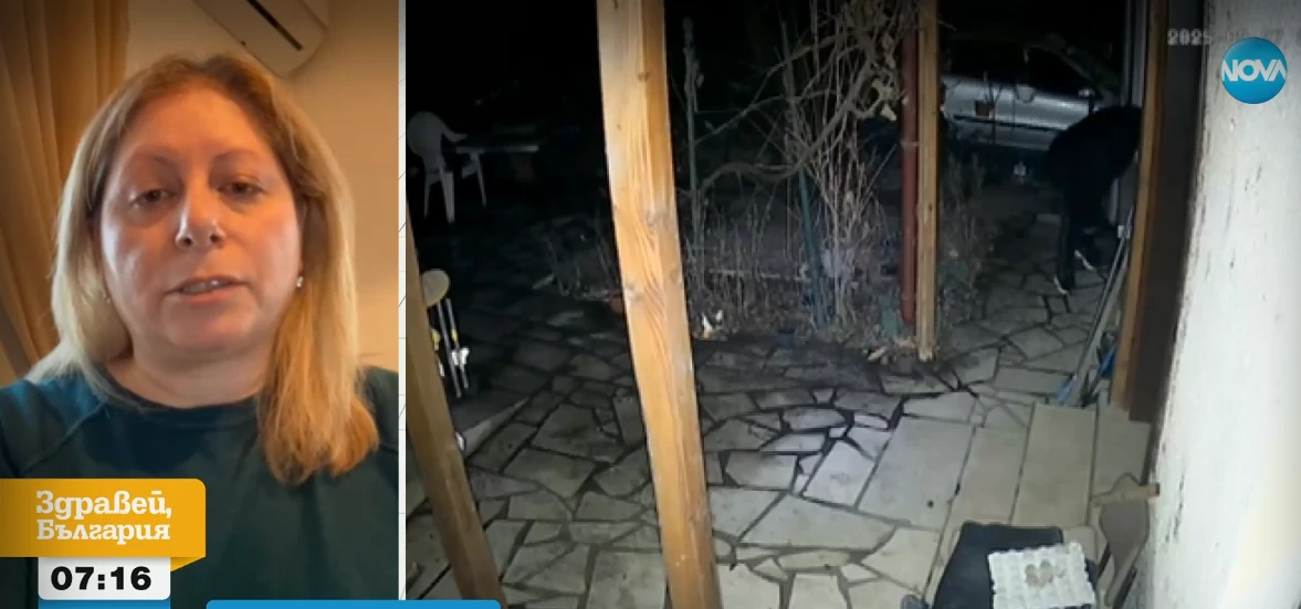 Семейство трепери от нагъл апаш, редовно ги краде ВИДЕО