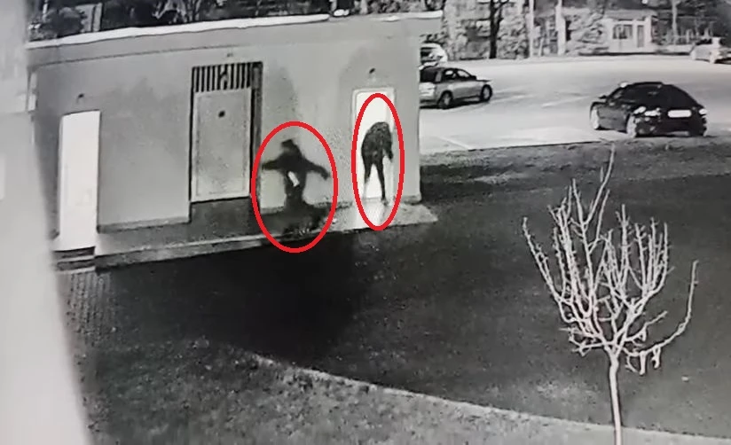 Спипаха пишлигарите, потрошили парка на Петрич, но кой ще плаща?