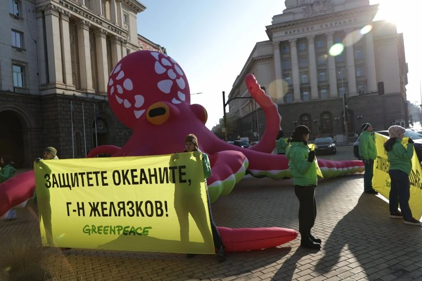 Огромен октопод разпери пипала пред НС в София СНИМКИ
