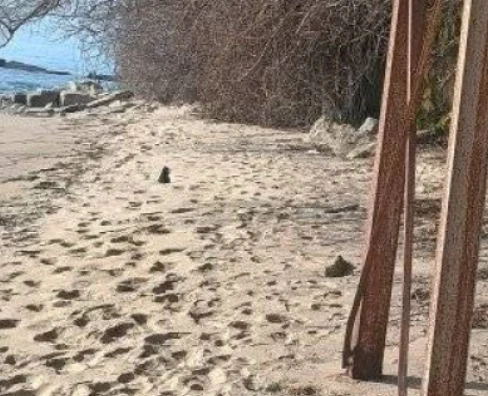 Откриха уникален плаж у нас, опасна стълба ни отвежда в рая