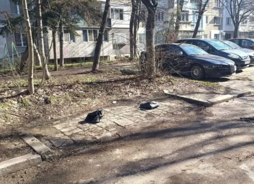 В София пак са първи в модата - тубите са в историята СНИМКА