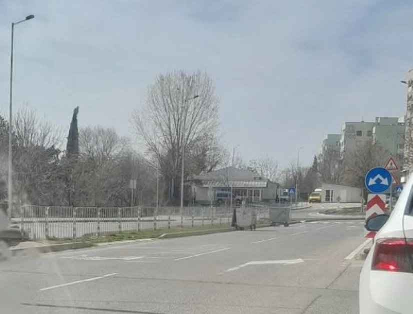 Нов вид "участник в движението" взриви мрежата СНИМКА
