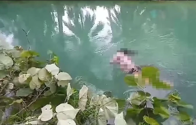 Ужасяващо ВИДЕО 18+ запечата крокодил с разкъсана жена в устата