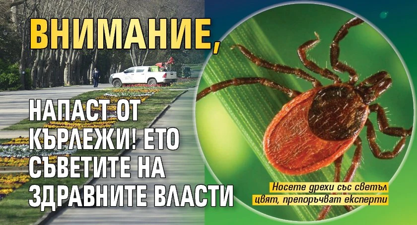 Страшна напаст, не пускайте децата си навън, опасно е! 