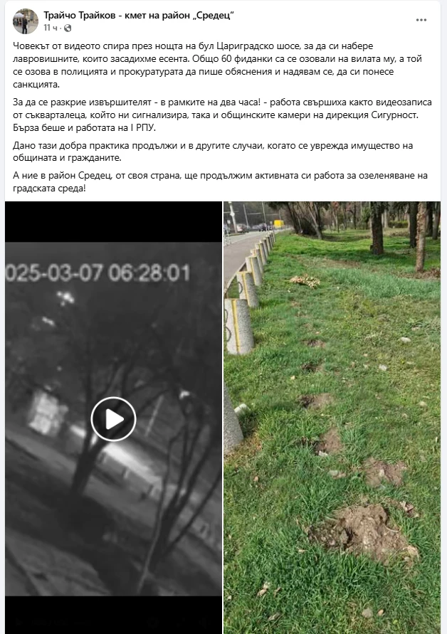 Невиждана кражба! Мъж си взе за вилата 60 фиданки от столичния бул. "Цариградско шосе"