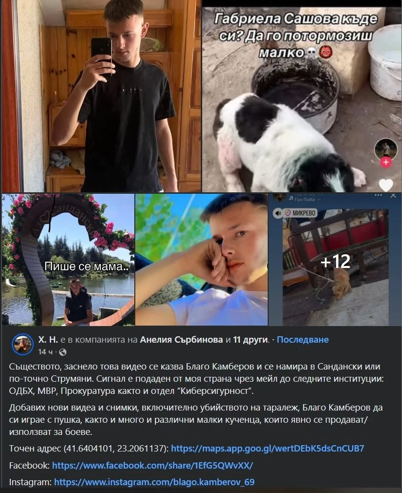 Ново зверство с животни разтърси наша община! Полицията вече работи СНИМКИ