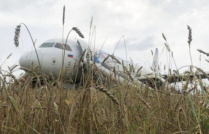 От бакшиш и хамалин до Airbus: Авиолинии уволниха пилот, приземил самолет в житата СНИМКА