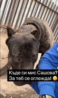 Садистката Габриела трепери зад решетките, грози я огромна опасност СНИМКИ 