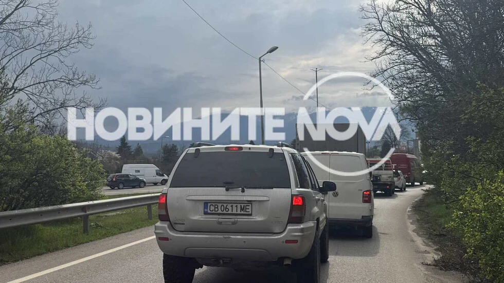 Дърво падна и блокира движението по "Цариградско шосе" в София СНИМКИ