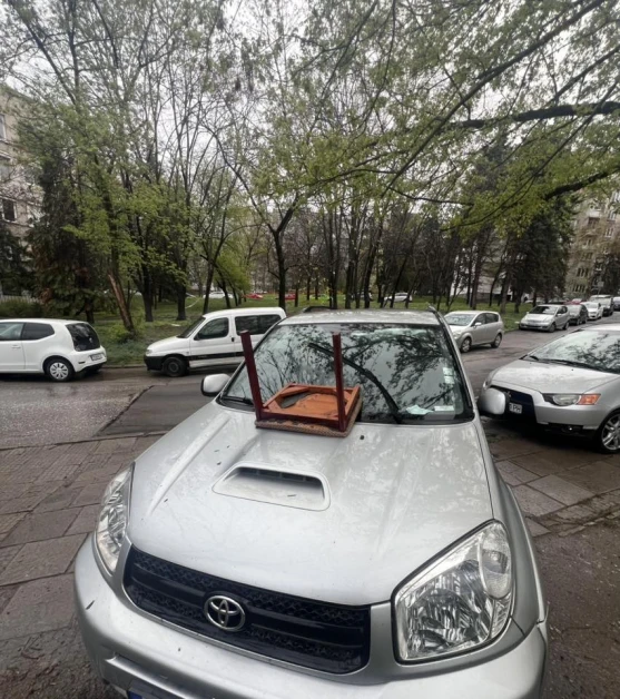 Зрелище в София: Шофьор получи нестандартна забележка СНИМКИ
