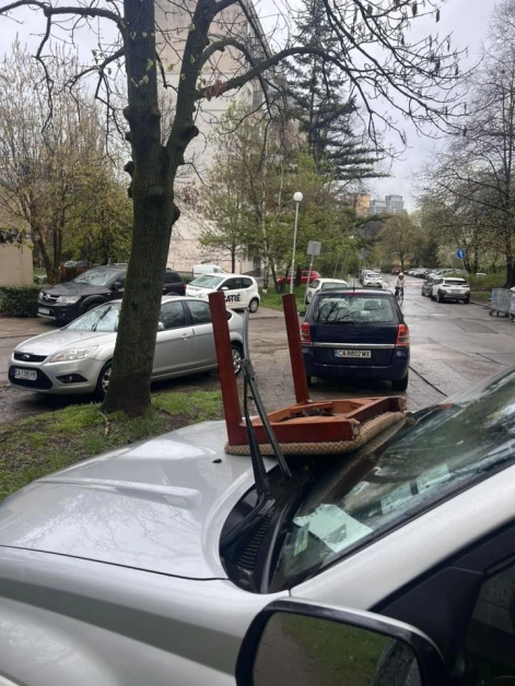 Зрелище в София: Шофьор получи нестандартна забележка СНИМКИ