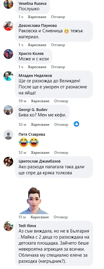 Сладко ВИДЕО от София: Който не разбира от кучета, да не коментира! 