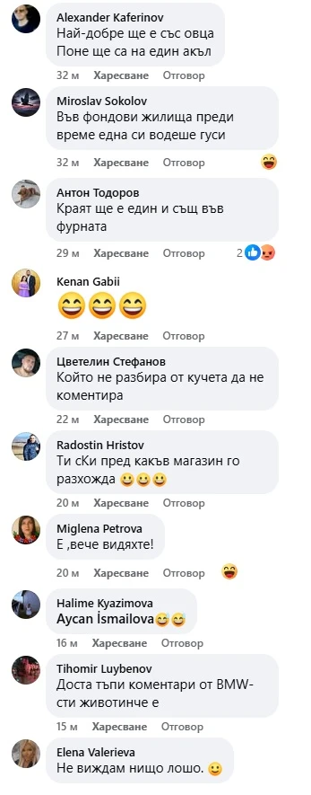 Сладко ВИДЕО от София: Който не разбира от кучета, да не коментира! 