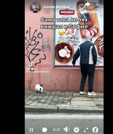 Сладко ВИДЕО от София: Който не разбира от кучета, да не коментира! 