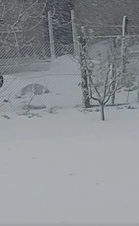 Такава аномалия България не помни! Ето къде удари със страшна сила ВИДЕО