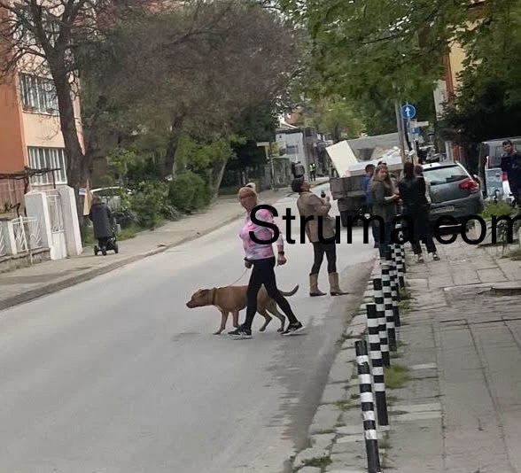 Майка и дете се разминаха с ужасяваща трагедия в Благоевград СНИМКИ