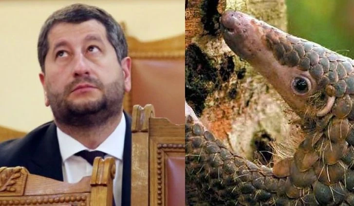 Наглият мравояд Ицо изпълзя от дупката си, за да рови за власт