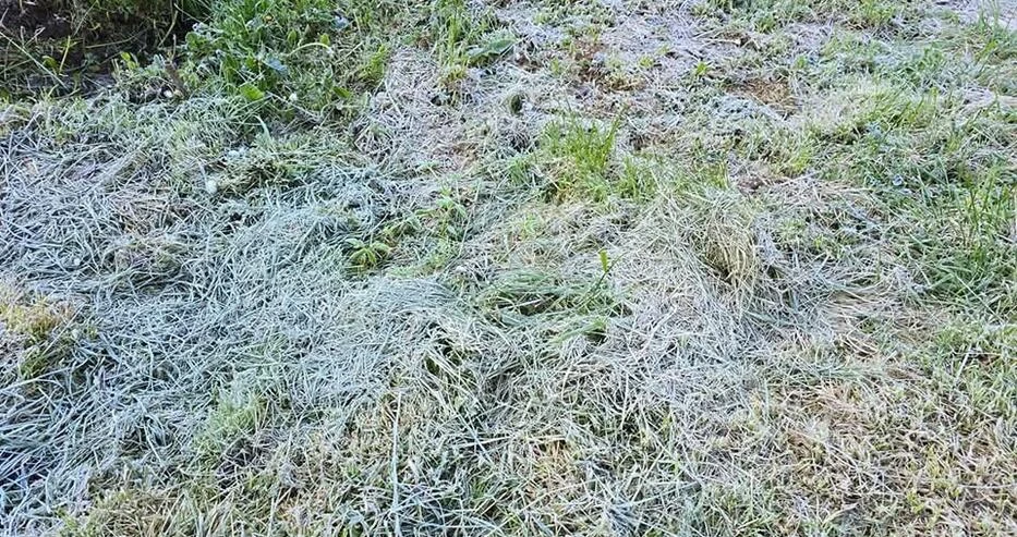 Земеделците са  ужас: Земята побеля в части от България ВИДЕО