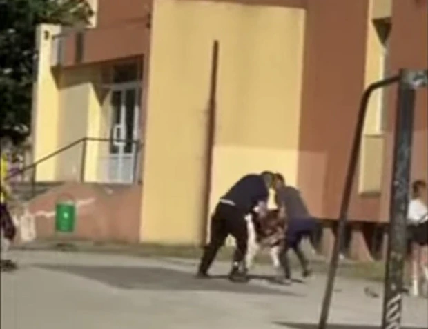 Брутална агресия в училищен двор потресе България СНИМКА 