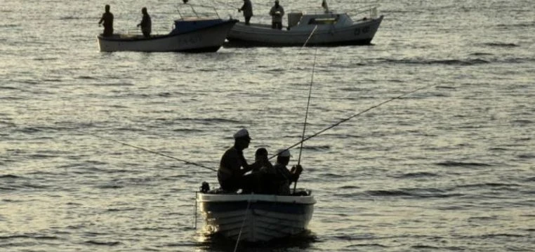 Морето завря от любима риба