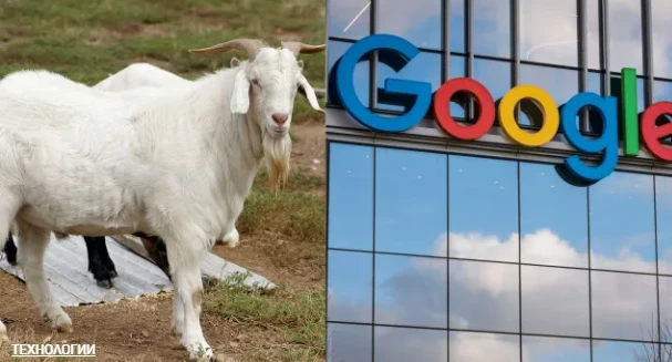 Google с неочакван ход, взима на работа 200...